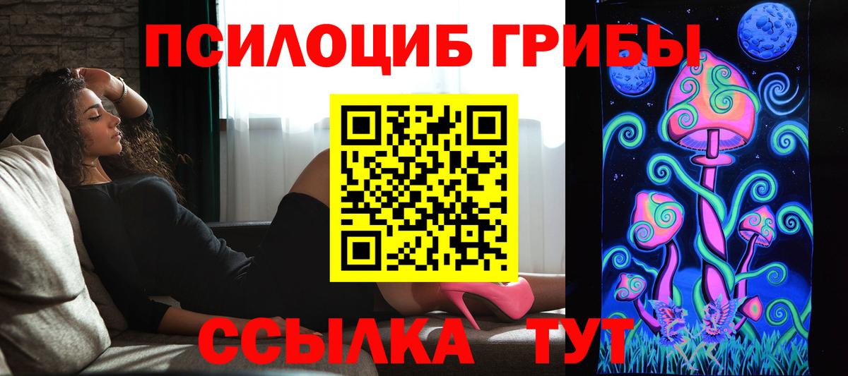 Псилоцибиновые грибы прущие грибы Гай